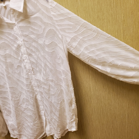 NWOT Zebra Print Semi Sheer Tunic Bishop Sleeve Size Lg - Picture 5 of 12